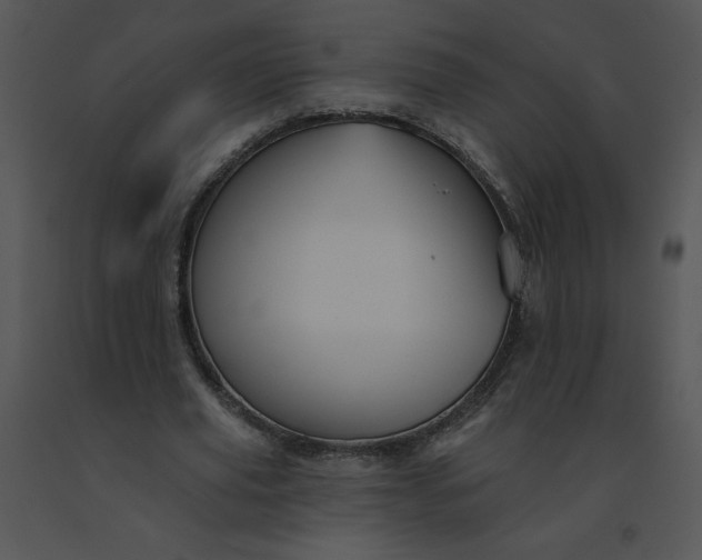 X0000091510629200708311228