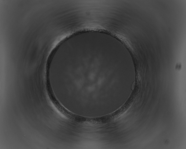 X0000091510630200708311228