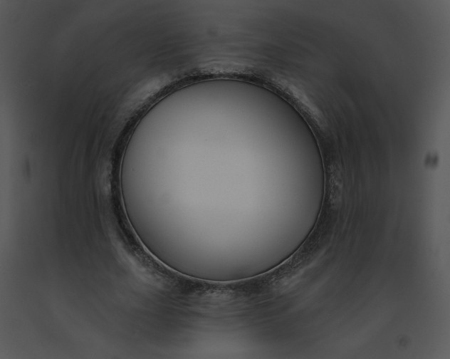 X0000091510631200708311228