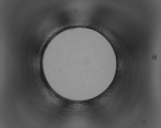 X0000091510632200708311228