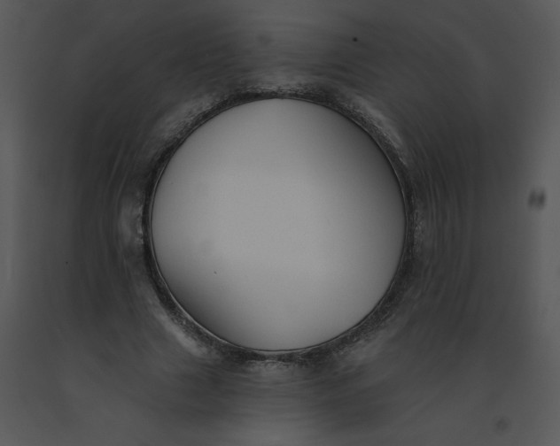 X0000091510633200708311228