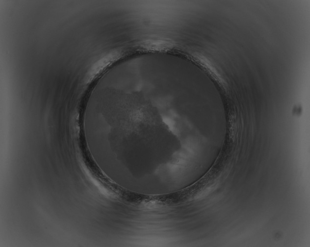 X0000091510634200708311228