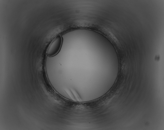 X0000091510635200708311228