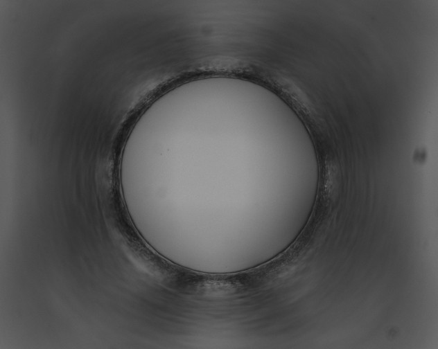 X0000091510636200708311228