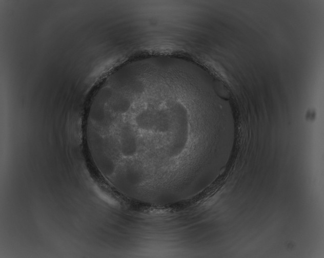 X0000091510638200708311228