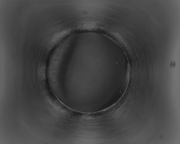 X0000091510640200708311228