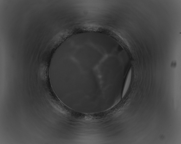 X0000091510641200708311228