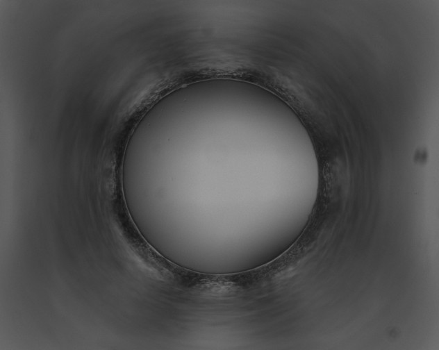 X0000091510642200708311228