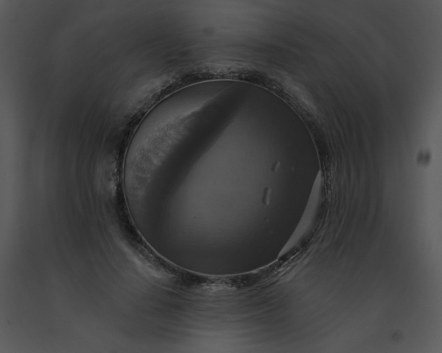 X0000091510644200708311228