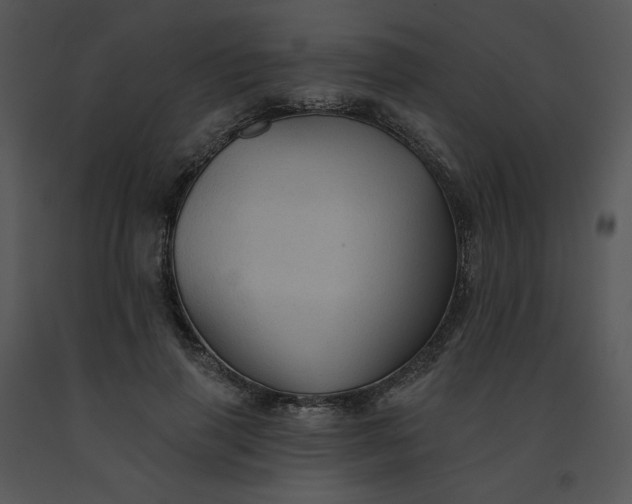 X0000091510645200708311228