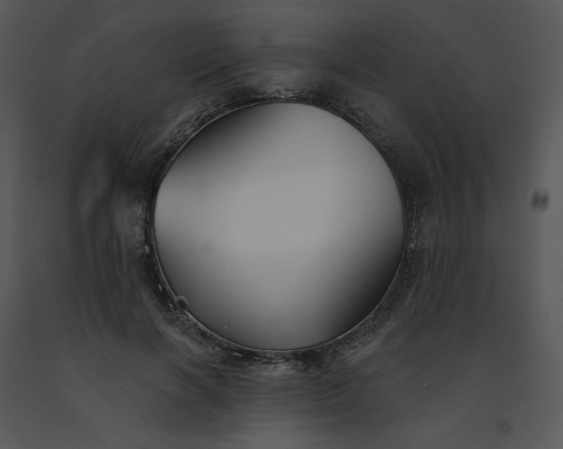 X0000091510646200708311228