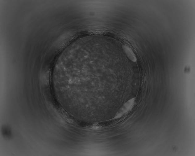 X0000091510647200708311228