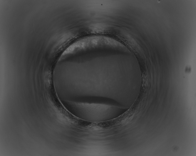 X0000091510648200708311228