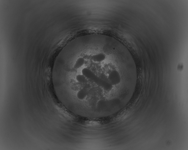 X0000091510649200708311228