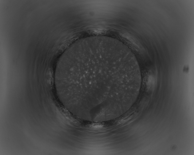 X0000091510651200708311228