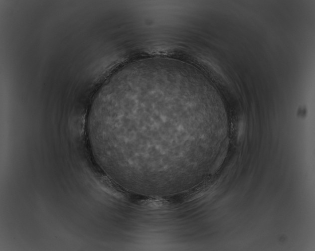 X0000091510652200708311228