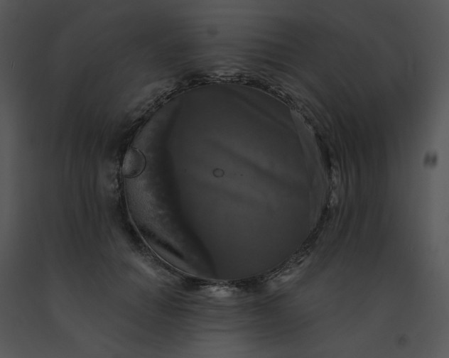 X0000091510654200708311228