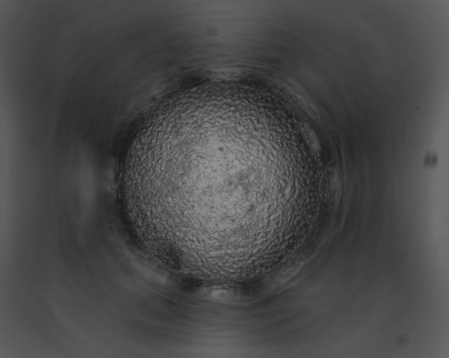 X0000091510655200708311228