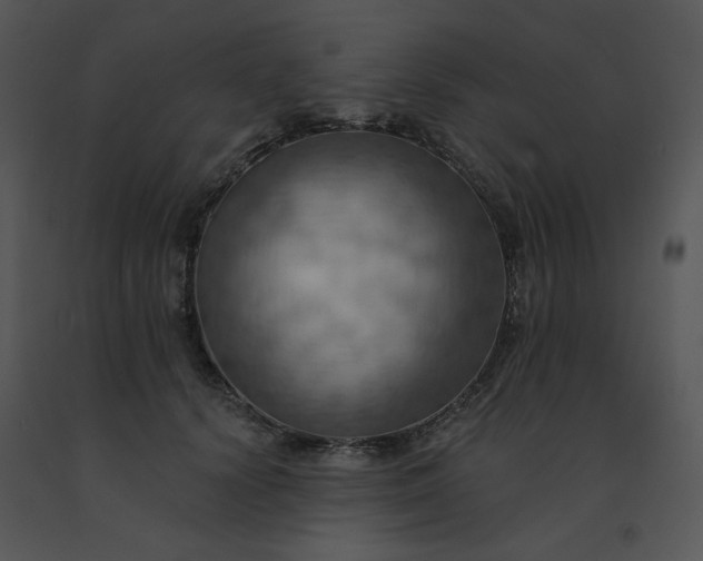 X0000091510656200708311228