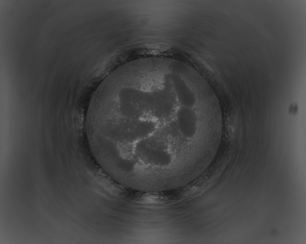 X0000091510657200708311228