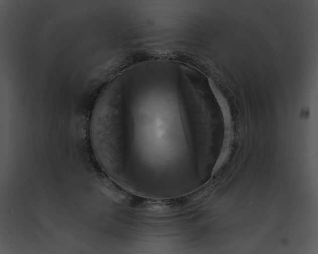 X0000091510658200708311228