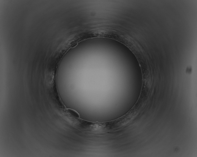 X0000091510660200708311228