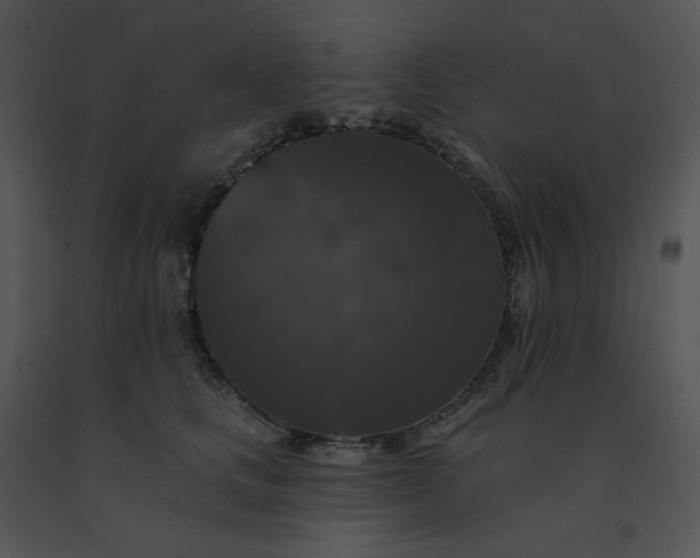 X0000091510661200708311228