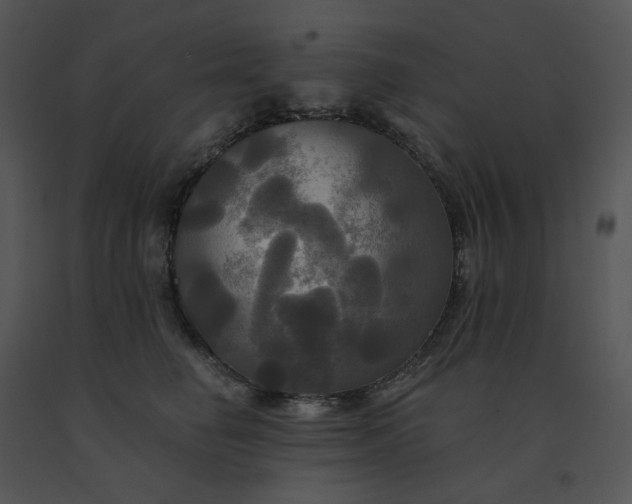 X0000091510662200708311228