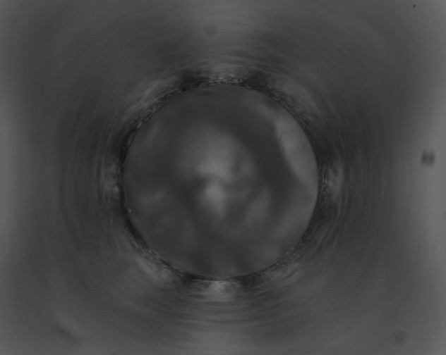 X0000091510663200708311228