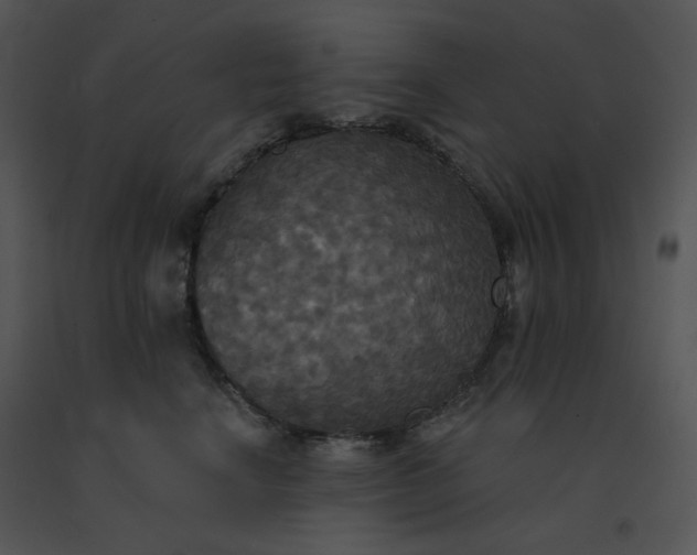 X0000091510664200708311228