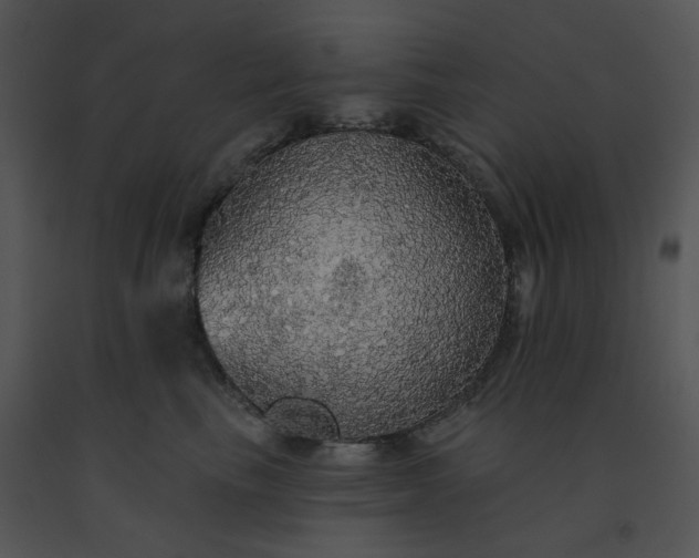 X0000091510665200708311228