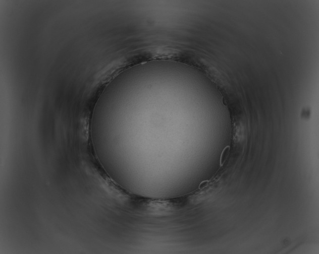 X0000091510666200708311228