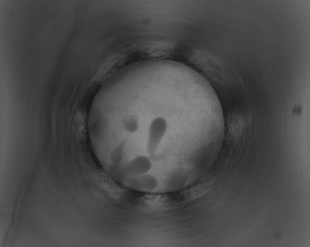 X0000091510667200708311228