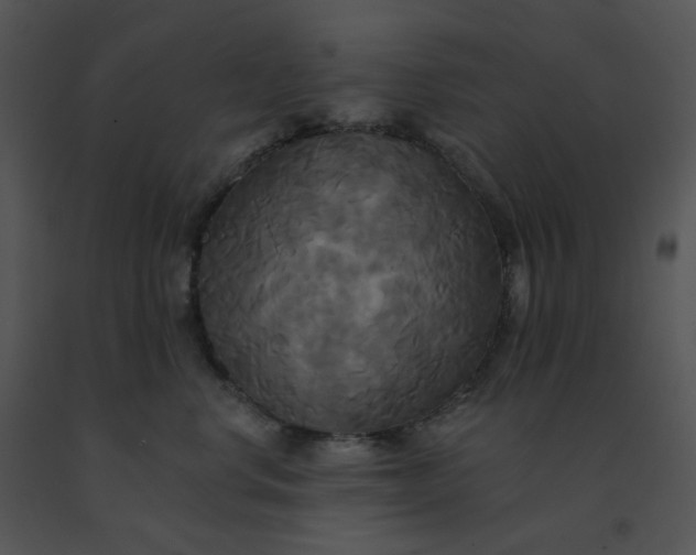 X0000091510668200708311228