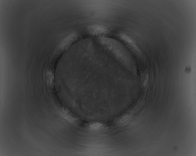 X0000091510669200708311228