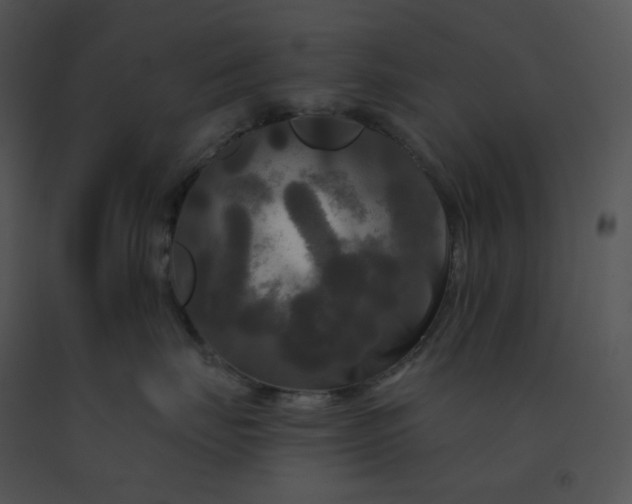 X0000091510671200708311228