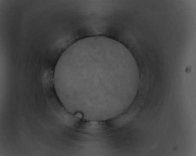 X0000091510672200708311228