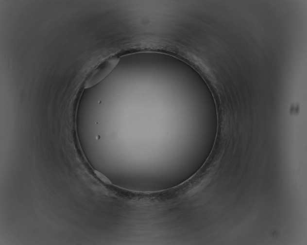 X0000091510673200708311227