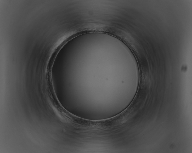 X0000091510674200708311227