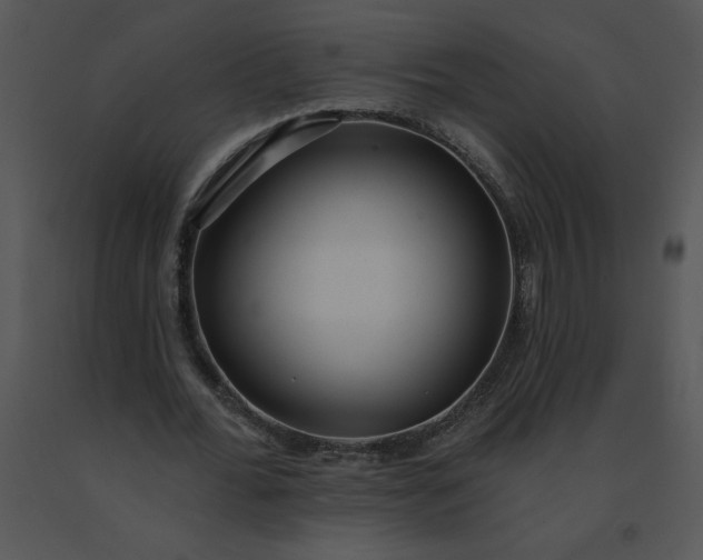 X0000091510676200708311227