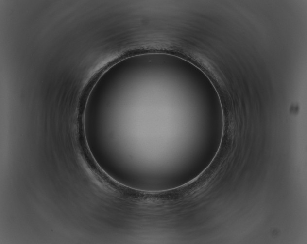 X0000091510677200708311227