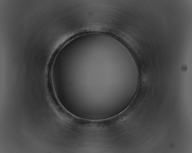 X0000091510678200708311227