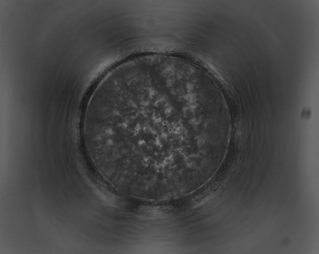 X0000091510679200708311227