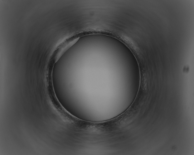 X0000091510680200708311227