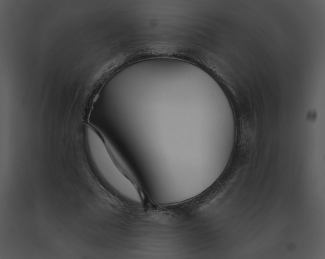 X0000091510681200708311227