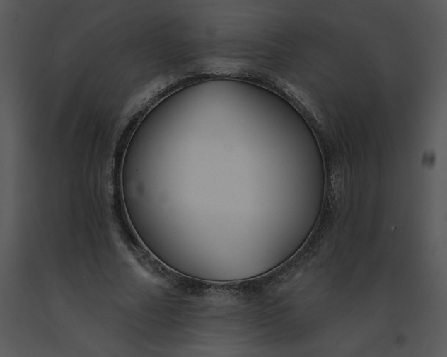 X0000091510682200708311227