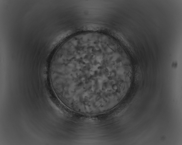 X0000091510683200708311227