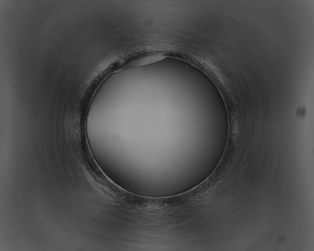 X0000091510684200708311227