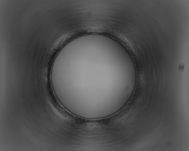 X0000091510686200708311227