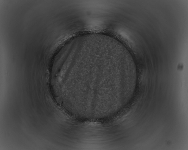 X0000091510689200708311227